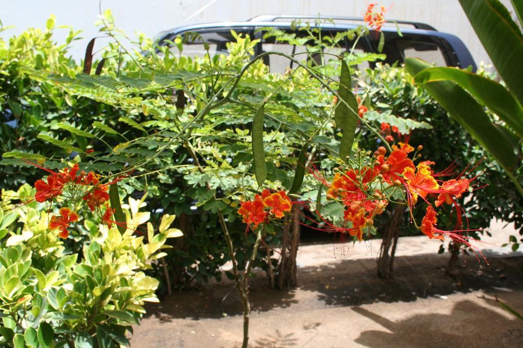 Auberge Keur Diame Dakar Ngoại thất bức ảnh