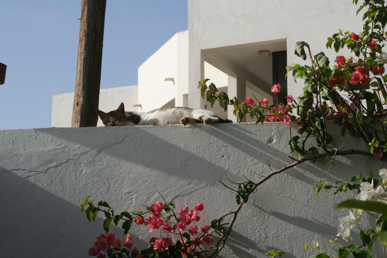 Auberge Keur Diame Dakar Ngoại thất bức ảnh